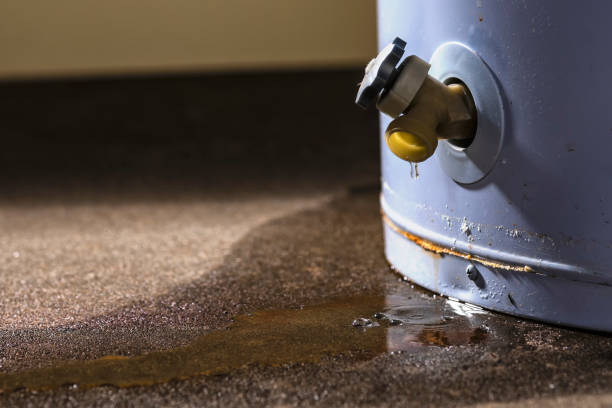 Best Professional water damage repair  in Brooklyn, NY