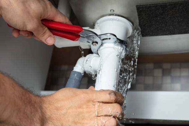 Best Mold removal after water damage  in Brooklyn, NY