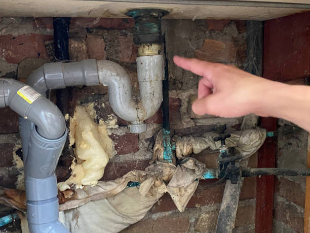 Best Water damage restoration near me  in Brooklyn, NY