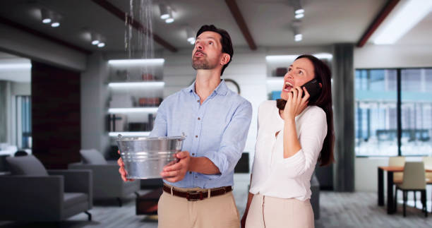 Best Water damage cleanup near me  in Brooklyn, NY